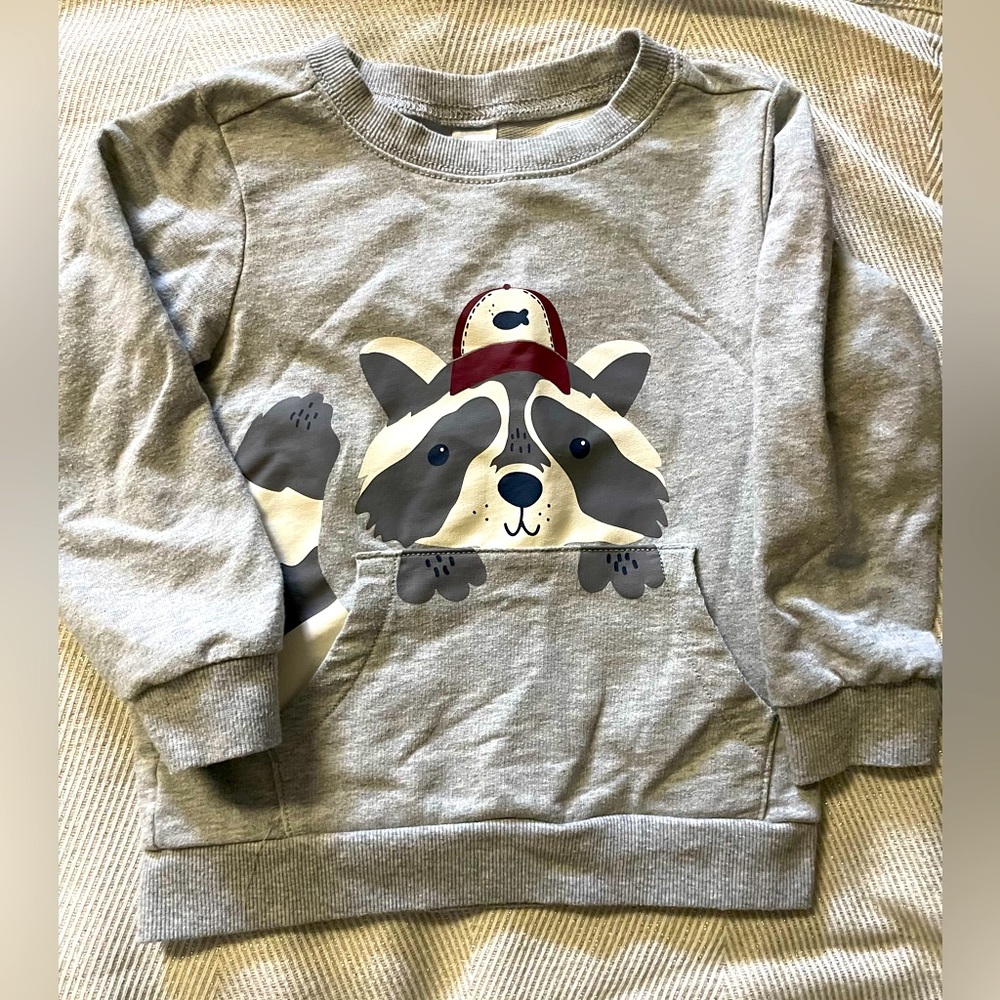 Carter’s Racoon Sweatshirt Set, Size 4T - Picture 2 of 4